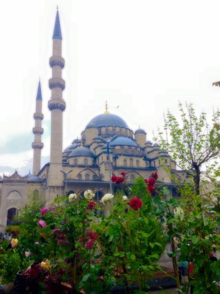 istanbul-yeni_cami-eminönü-güller